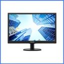 PHILIPS 193V5LSB2 18.5 inch LED Monitor