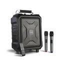 Microlab TL20 Stylish Portable Trolley Speaker